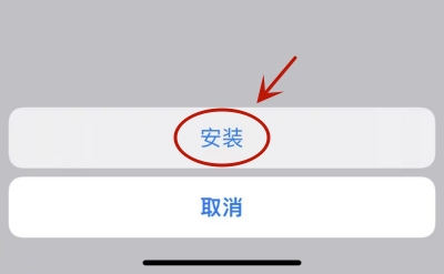 STEP 5：确认安装描述文件